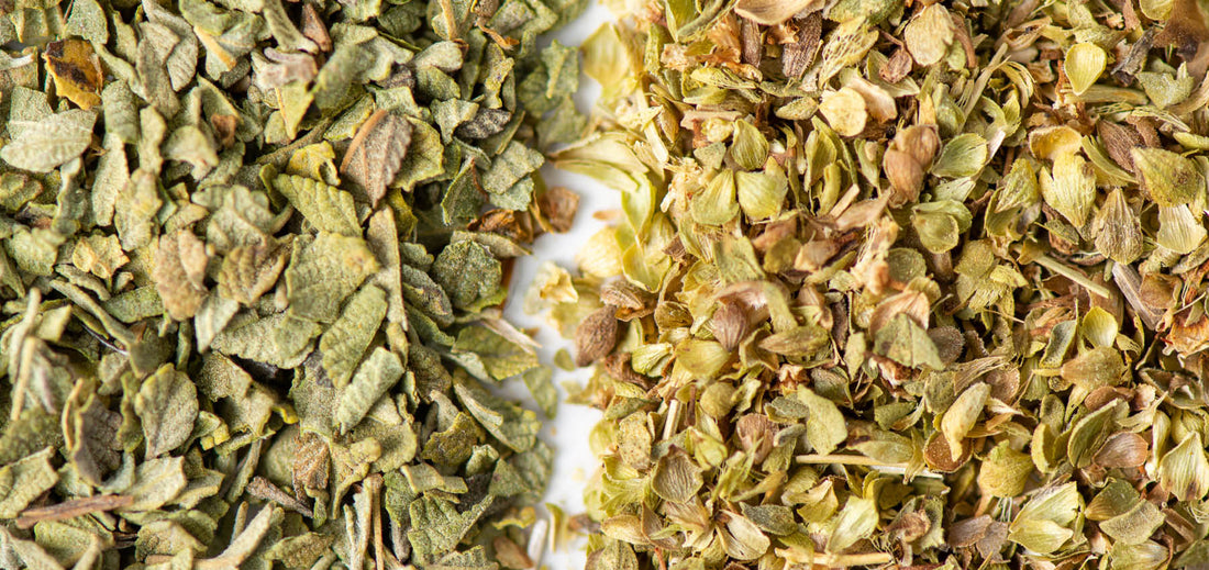 Greek Oregano & Mexican Oregano