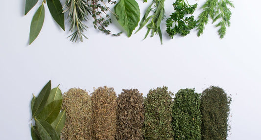 Spices 101: Converting Fresh Herbs and Spices to Dried