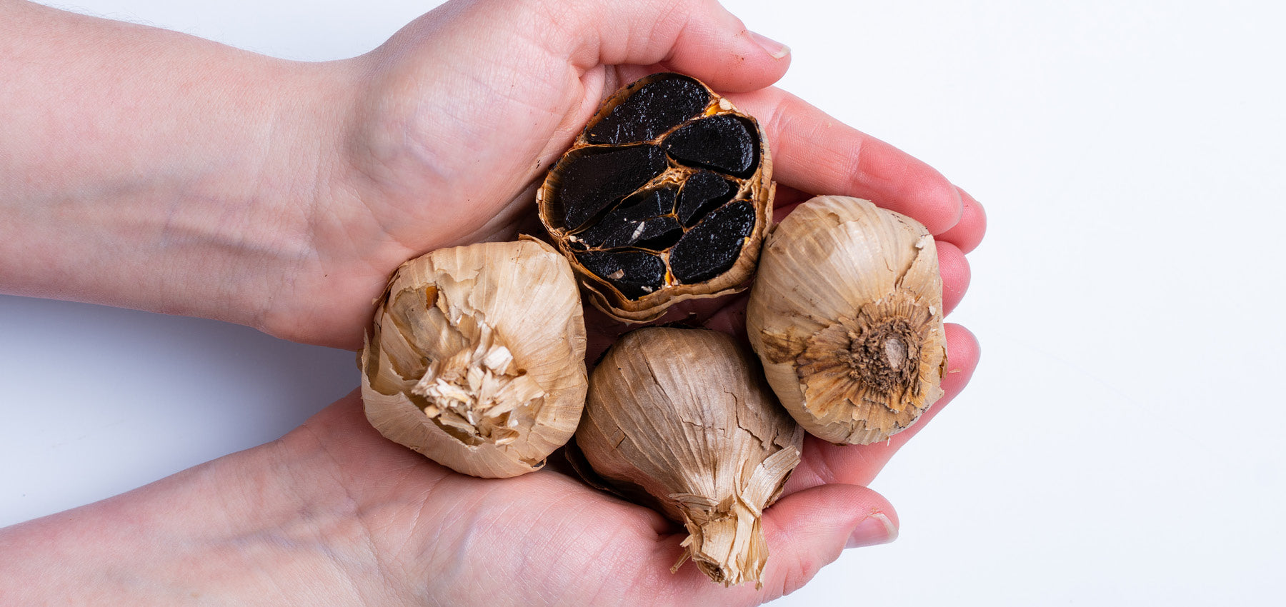 Four black garlic bulbs in someone's hands
