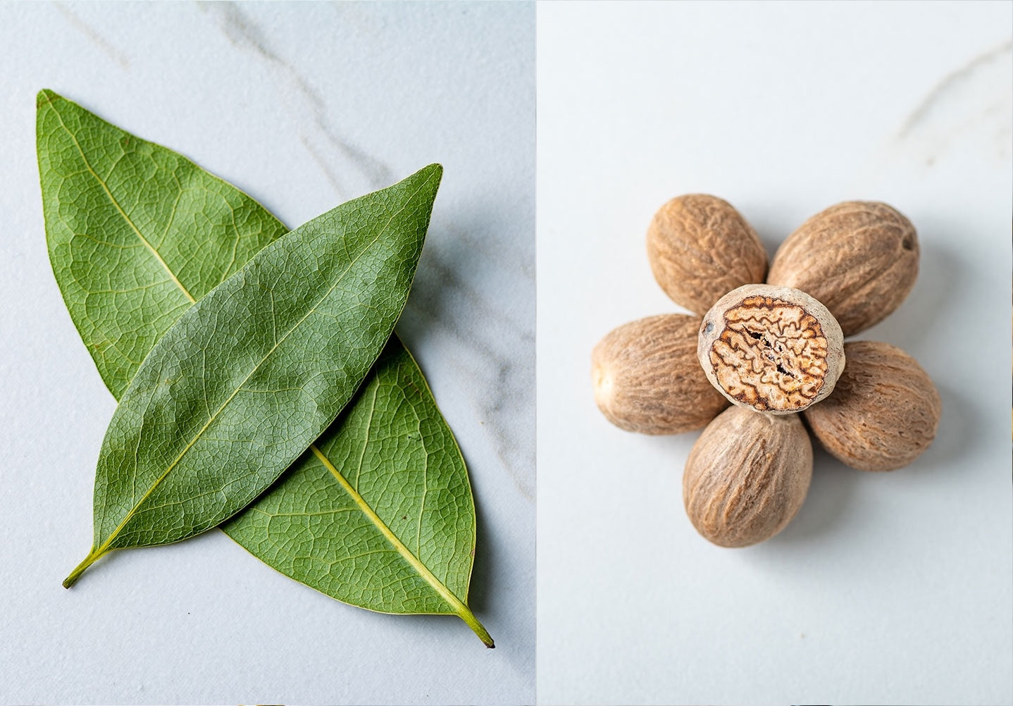 Spices 101: The Difference Between Herbs and Spices – Savory Spice