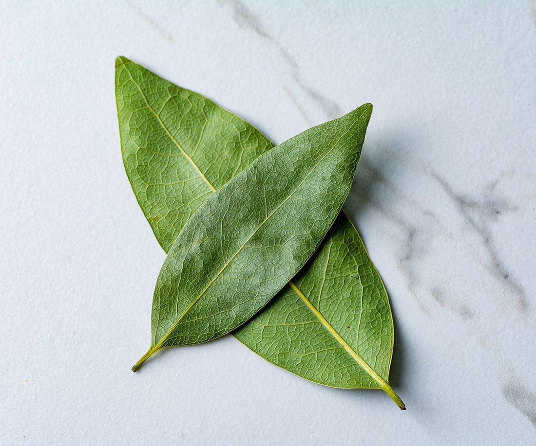 Behind the Seasoning: Bay Leaves