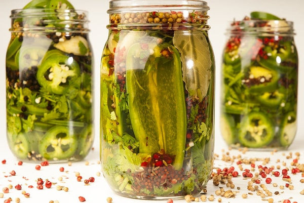 Cilantro and Coriander Pickled Jalapeños