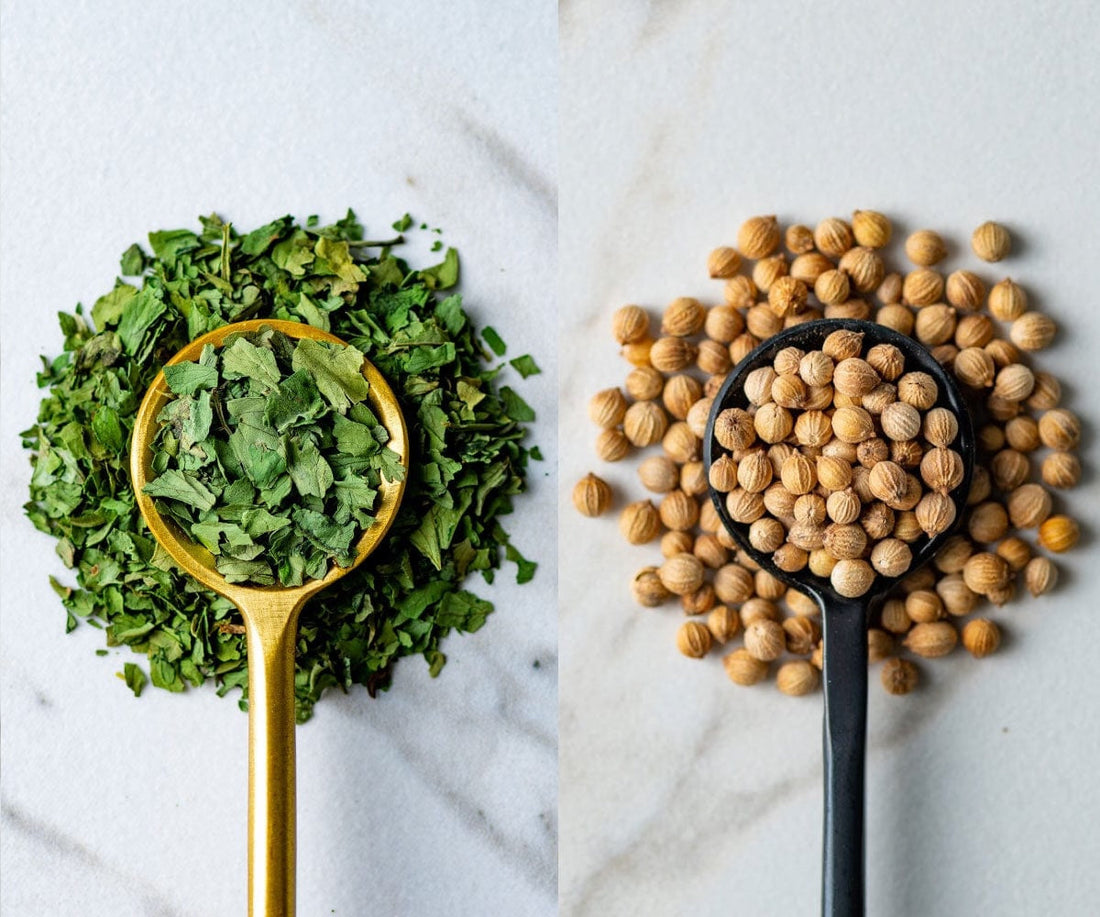 What’s the Difference Between Coriander and Cilantro?