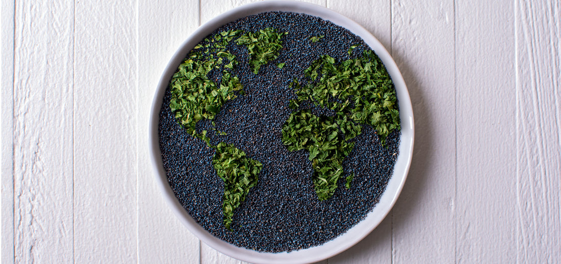 Introduction to Our “World Flavors” Product Category