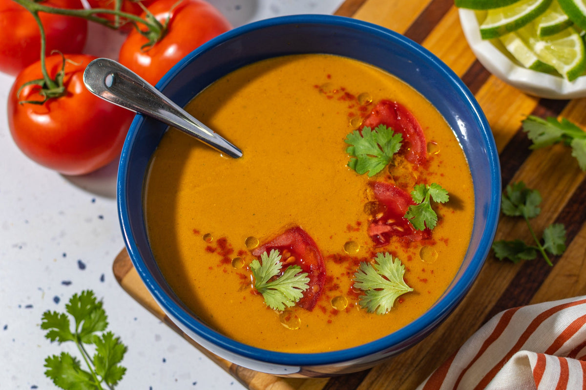 Ace Plus Ace Blender Butternut Squash Soup Tomato Basil Soup