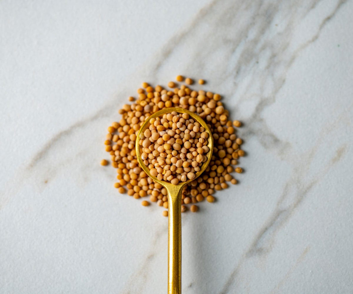 Whole Yellow Mustard Seeds Savory Spice